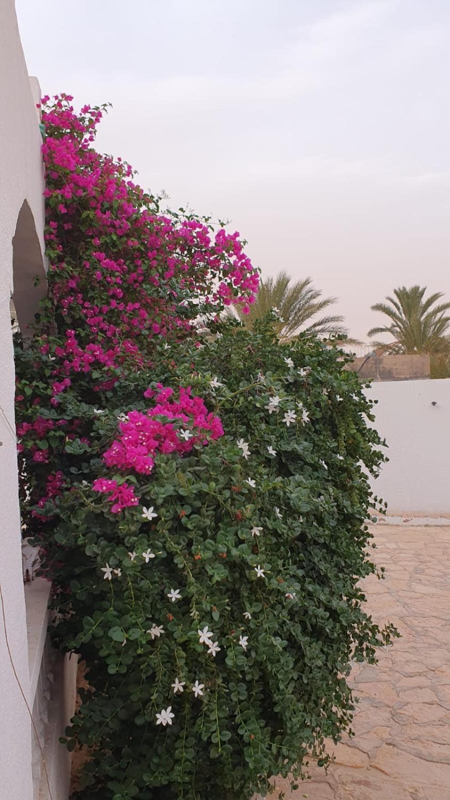 Residence Nour Douz Extérieur photo